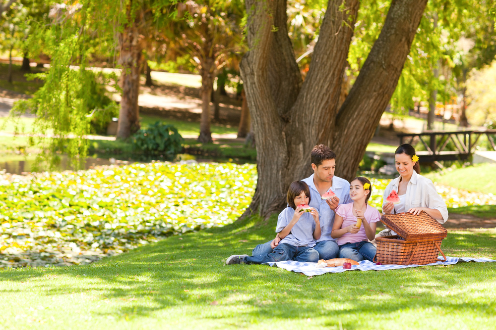 Family spending time at park.